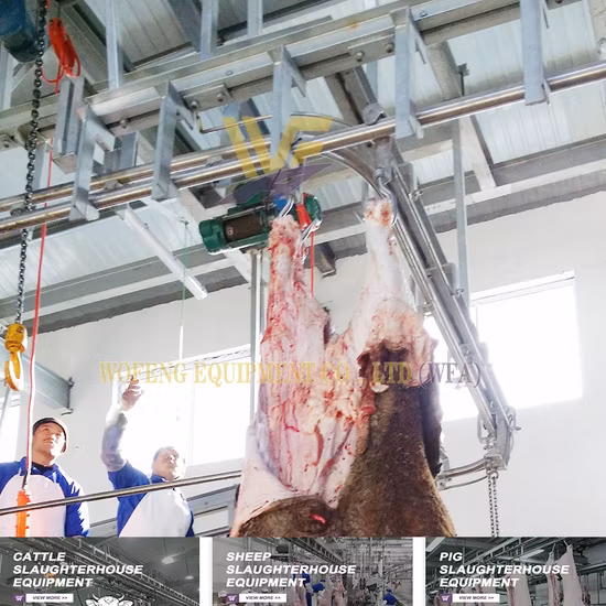 Il telaio di sollevamento per bestiame più venduto, le mucche ausiliarie alzano l'attrezzatura veterinaria