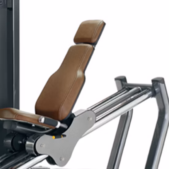 Macchina per la forza commerciale professionale Allenamento sportivo Body Building Life Fitness PRO2 Se Leg Extension Press Prone Seduto Leg Curl Attrezzature da palestra per il fitness